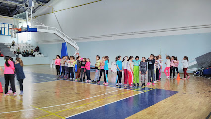 Çan Spor Salonu