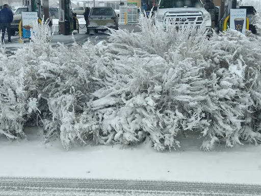 Supermarket «Walmart Neighborhood Market», reviews and photos, 2730 S Prairie Ave, Pueblo, CO 81005, USA