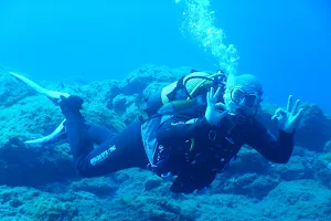 Pama Diving image