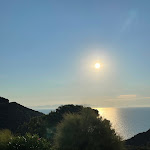 Photo n°5 de l'avis de Cristina.o fait le 12/08/2022 à 08:38 sur le  Hotel Ristorante Villa Rita à Marciana