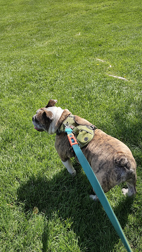 Park «Pueblo Park», reviews and photos, Peublo Vista Dr, Las Vegas, NV 89128, USA