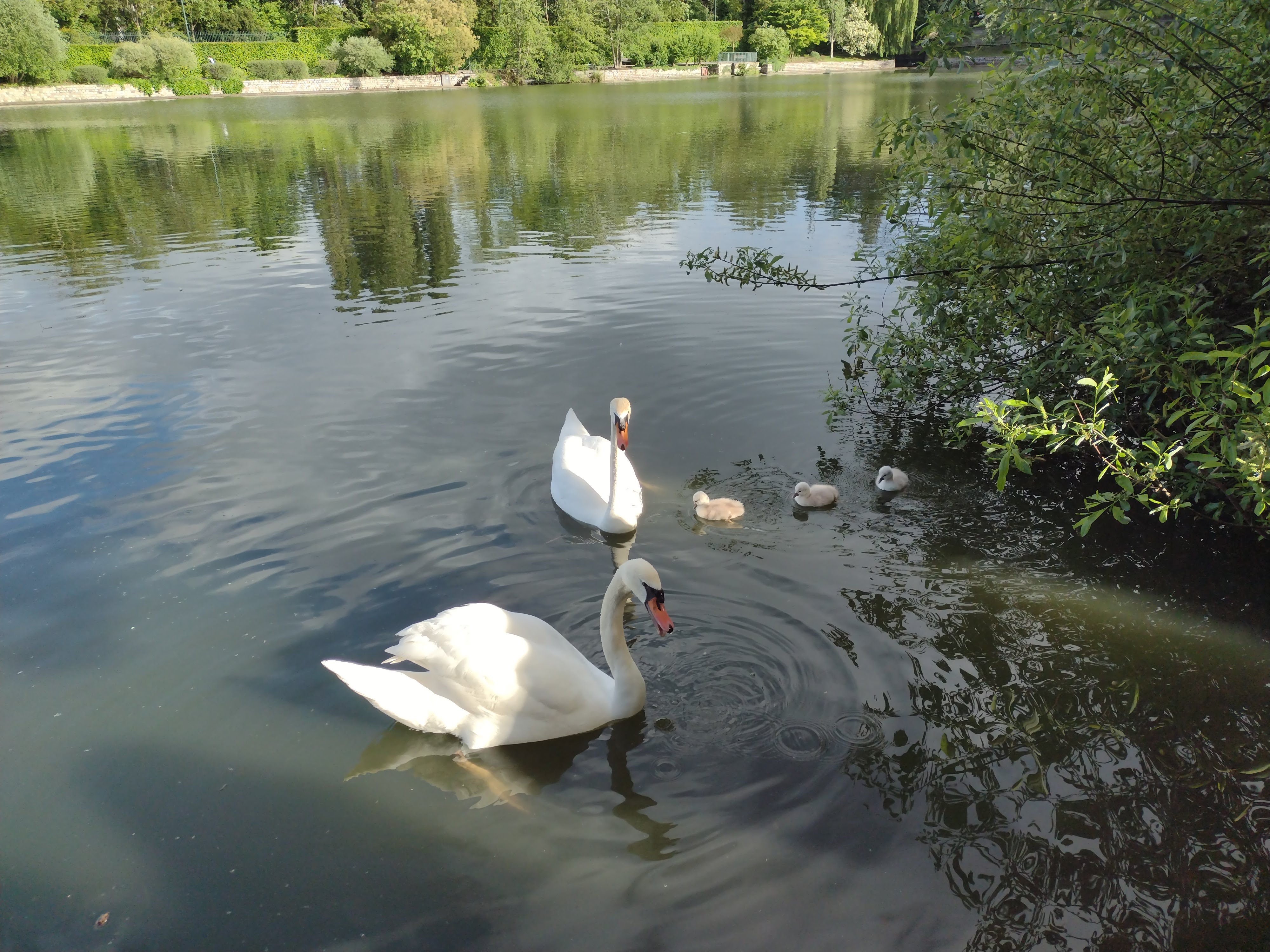 Photo n° 3 de l'avis de Thierry.I fait le 08/12/2021 à 15:26