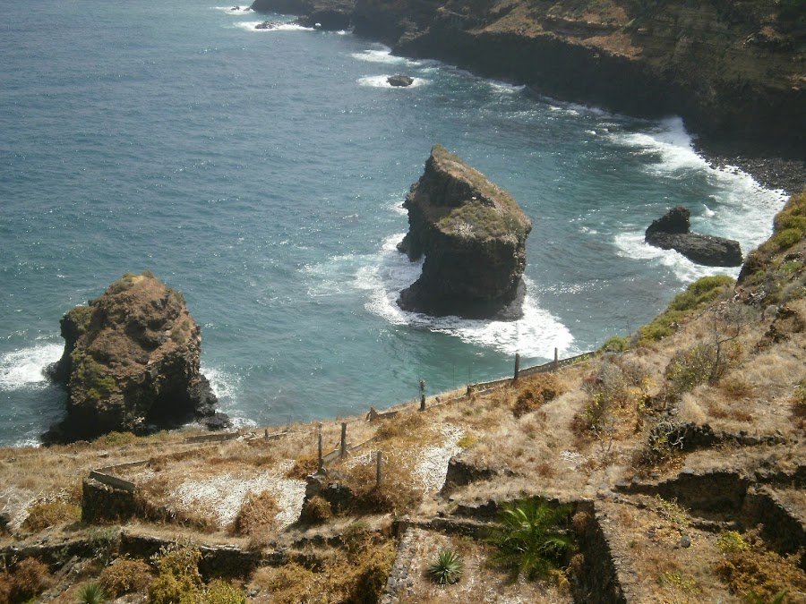 Cafetería-Terraza Estación