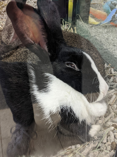 Pet Supply Store «Pet Valu», reviews and photos, 541 S Breiel Blvd, Middletown, OH 45044, USA