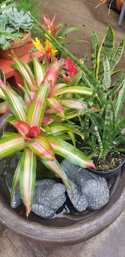 Hardware Store «Proctor Ace Hardware», reviews and photos, 5723 University Blvd W, Jacksonville, FL 32216, USA