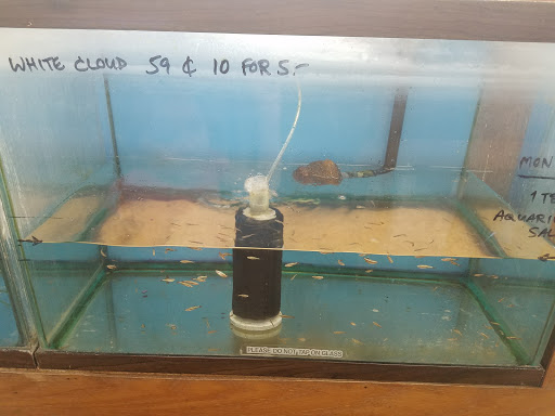 Pet Store «Pet Time», reviews and photos, 3141 W 11th Ave, Eugene, OR 97402, USA