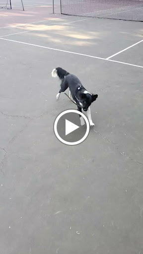 Park «Mt. Tabor Park», reviews and photos, SE Salmon St, Portland, OR 97215, USA