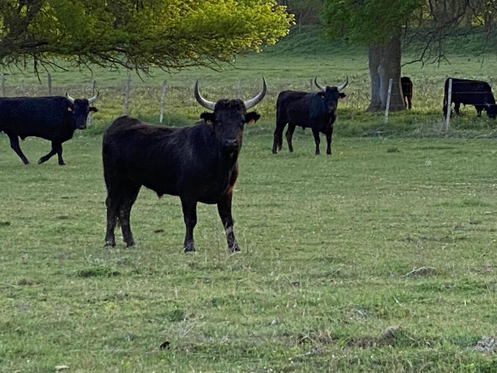 Photo n° 3 de l'avis de Amandine.r fait le 18/04/2022 à 16:28