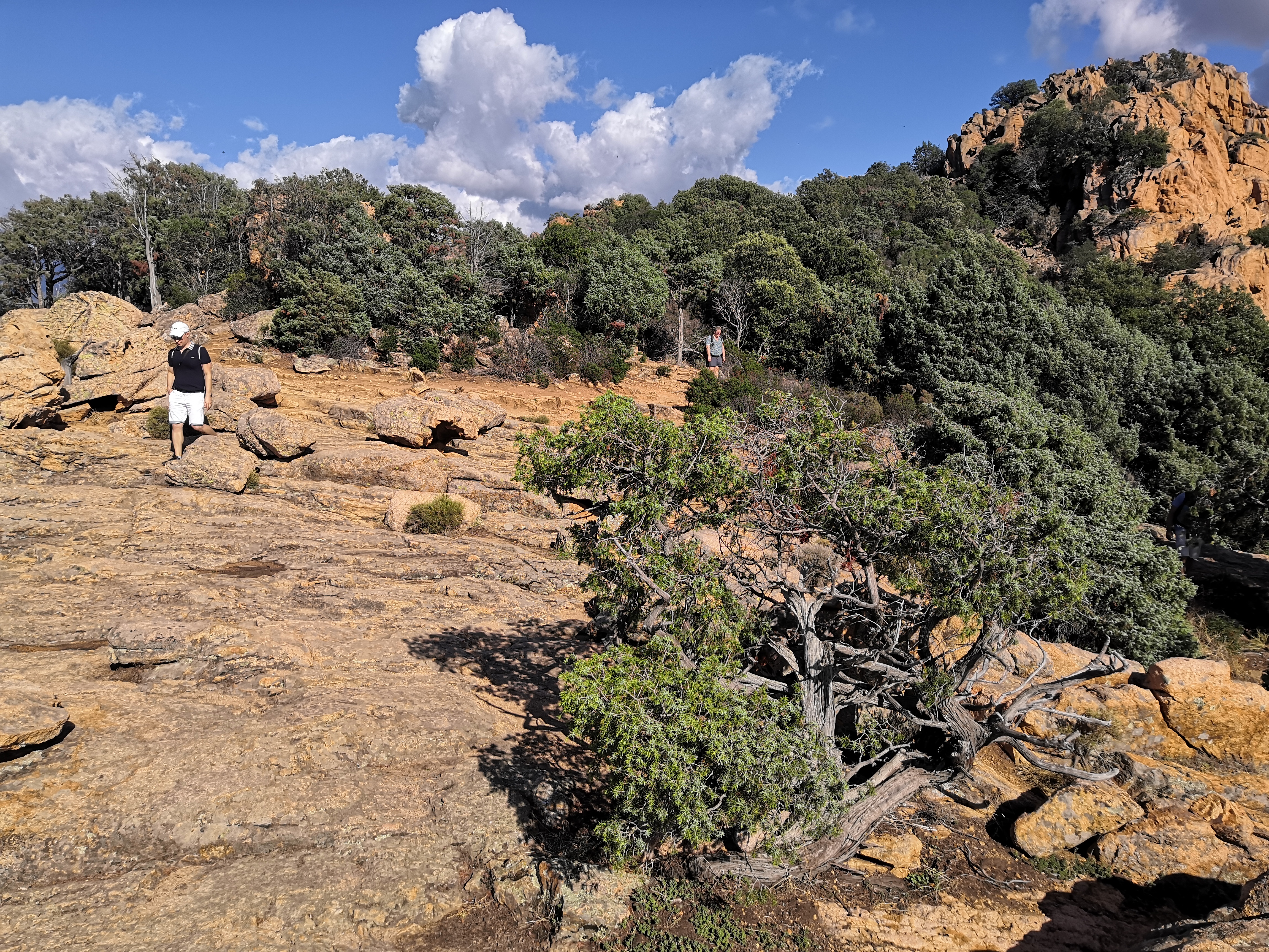 Photo n° 9 de l'avis de Sonia.o fait le 24/09/2023 à 22:54