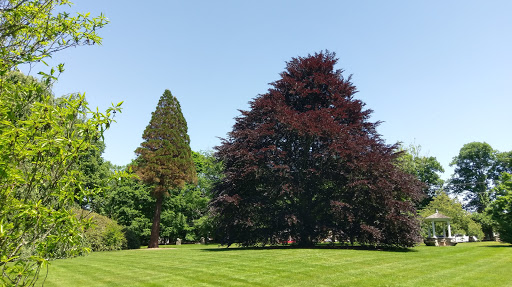 Tourist Attraction «Blithewold Mansion, Gardens & Arboretum», reviews and photos, 101 Ferry Rd, Bristol, RI 02809, USA