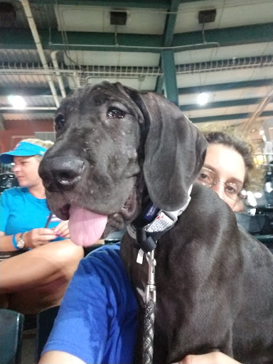 Stadium «Baseball Grounds - Jacksonville», reviews and photos, 301 A Philip Randolph Blvd, Jacksonville, FL 32202, USA