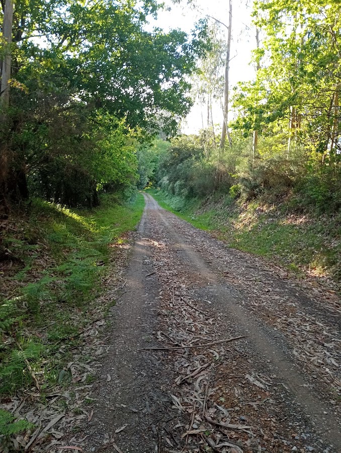 Fervenza do Pereiro