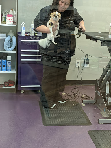 Pet Supply Store «Pet Supermarket», reviews and photos, 2090 E Arapaho Rd, Richardson, TX 75081, USA