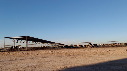 Golf Club «Hillcrest Golf Club», reviews and photos, 20002 N Star Ridge Dr, Sun City West, AZ 85375, USA