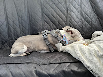 Ruff House - Ruff House - Photo 4 - Car repair in Fort Lauderdale, FL, Fort Lauderdale