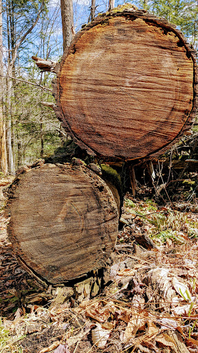 Nature Preserve «Mianus River Gorge Preserve», reviews and photos, 167 Mianus River Rd, Bedford, NY 10506, USA