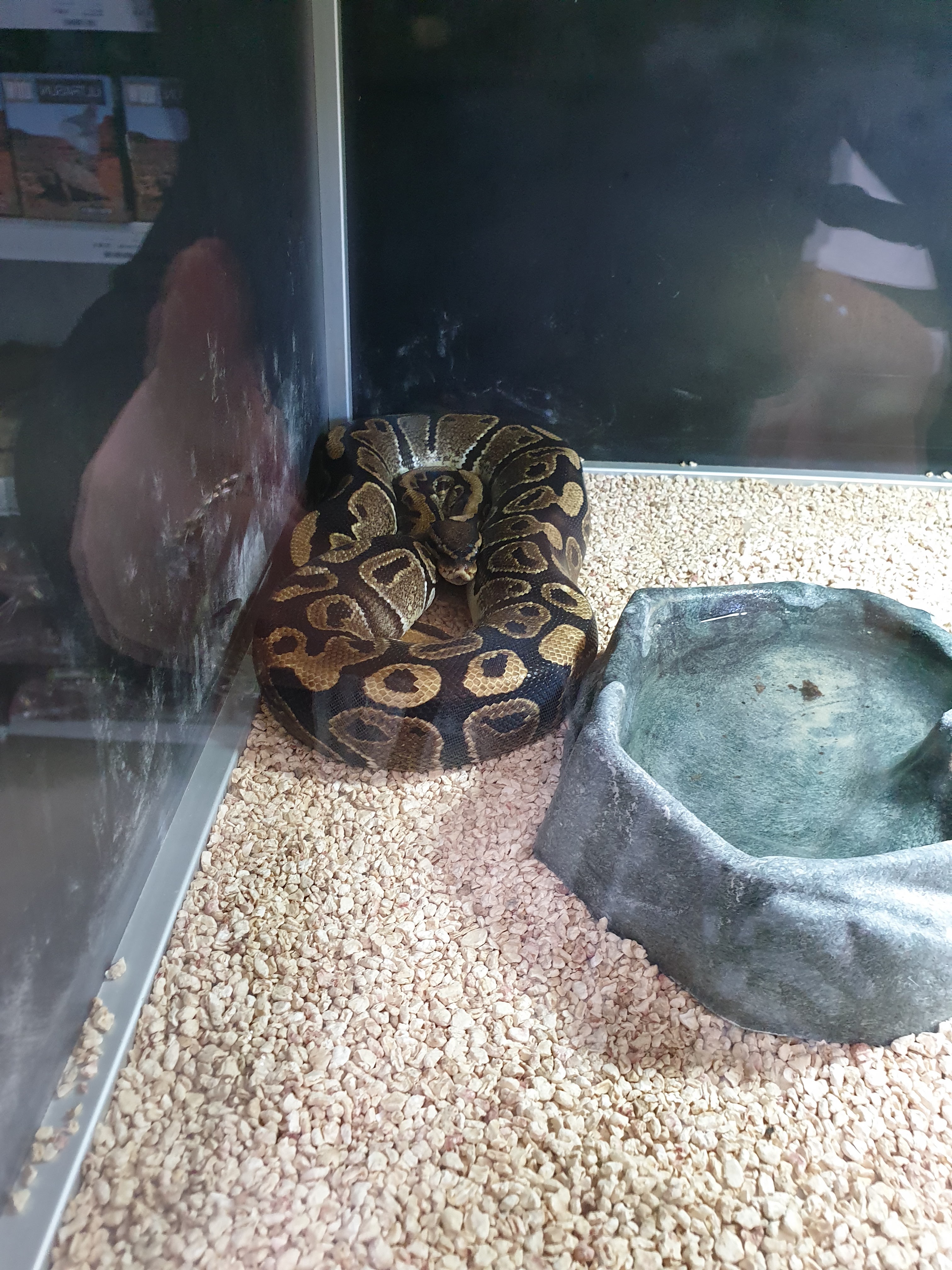 Photo n° 2 de l'avis de Karinou.e fait le 21/09/2018 à 17:23