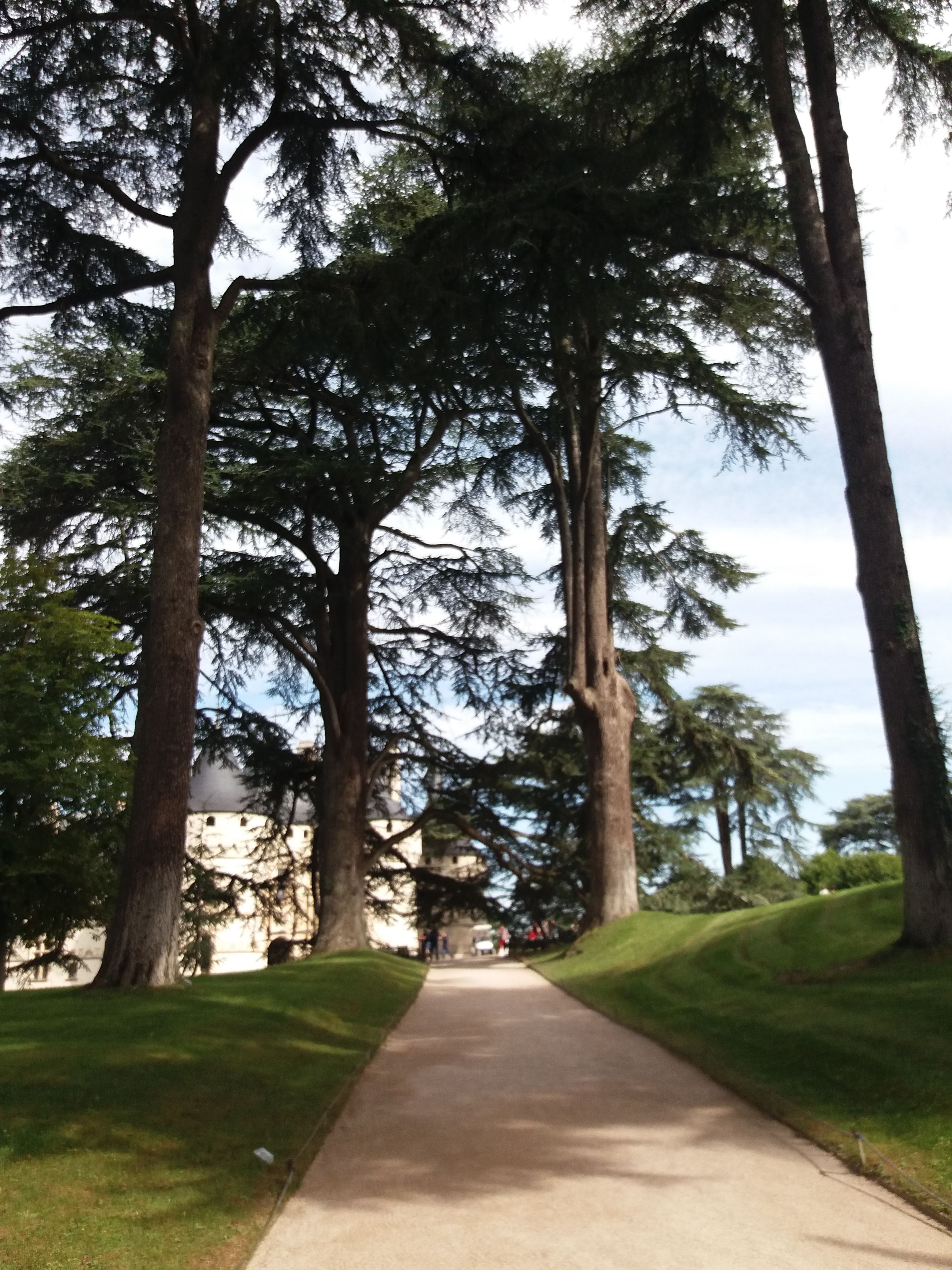 Photo n° 10 de l'avis de Pascaly.a fait le 14/08/2019 à 14:23