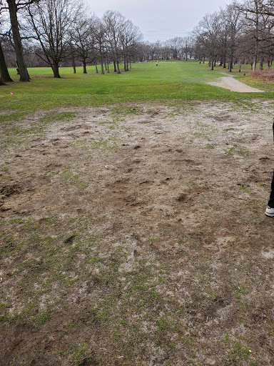Golf Course «Forest Park Golf Course», reviews and photos, 101 Forest Park Dr, Woodhaven, NY 11421, USA