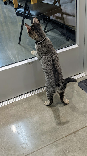 Pet Supply Store «Petco Animal Supplies», reviews and photos, 12444 NW 10th St #301, Yukon, OK 73099, USA