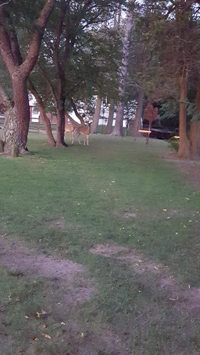 Golf Course «William F. Larkin Golf Course at Colonial Terrace», reviews and photos, 1003 Wickapecko Dr, Ocean Township, NJ 07712, USA