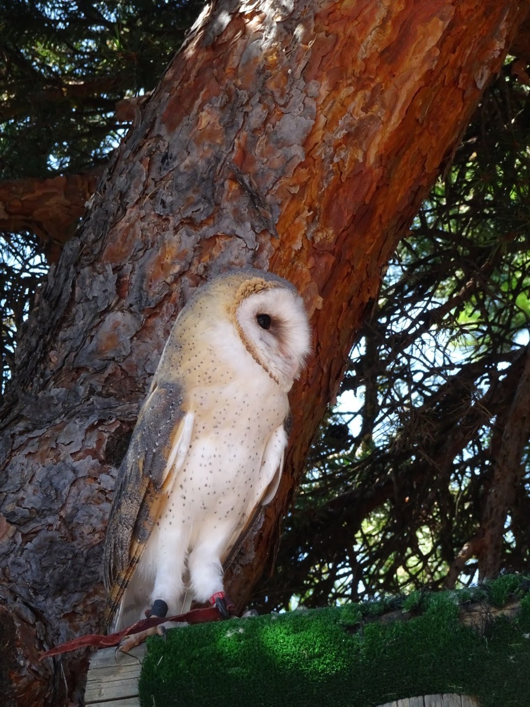 Photo n° 3 de l'avis de Romain.o fait le 17/08/2017 à 11:56