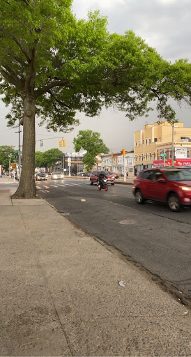 Dollar Store «Dollar Tree», reviews and photos, 131-09 101st Ave, Queens, NY 11419, USA