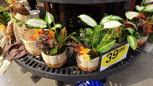 Grocery Store «Quality Food Center», reviews and photos, 1009 Monroe Ave, Enumclaw, WA 98022, USA