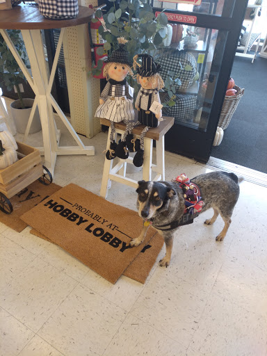 Craft Store «Hobby Lobby», reviews and photos, 2135 E Franklin Blvd, Gastonia, NC 28054, USA