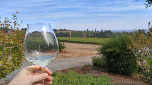 Winery «Erath Winery», reviews and photos, 9409 Northeast Worden Hill Road, Dundee, OR 97115, USA