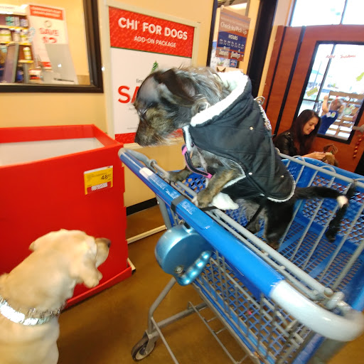 Pet Supply Store «PetSmart», reviews and photos, 2019 Forest Ave, Chico, CA 95928, USA
