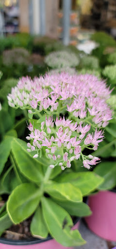 Home Improvement Store «The Home Depot», reviews and photos, 43675 Greenway Corporate Dr, Ashburn, VA 20147, USA