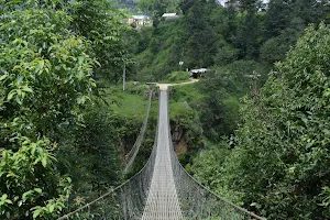 Roshi Khola Bridge image