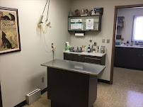 Eldridge Veterinary Clinic P.C. - Photo 8 - Car repair in Eldridge, IA, Davenport