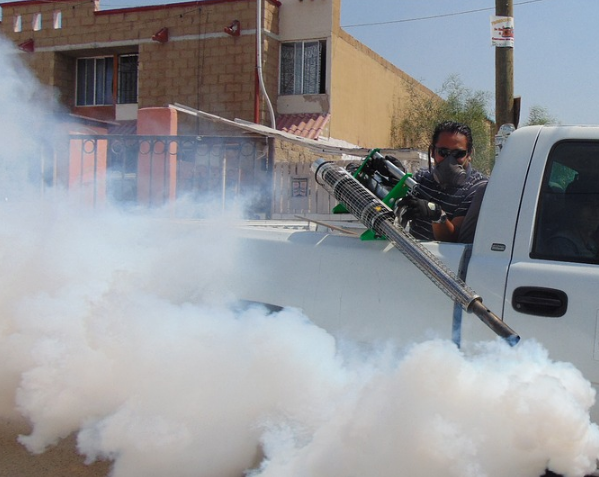 Opiniones de Ro & Ca Ltda. en Punta Arenas - Empresa de fumigación y control de plagas