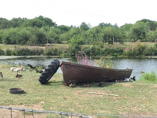 Farm «Russell Orchards», reviews and photos, 143 Argilla Rd, Ipswich, MA 01938, USA