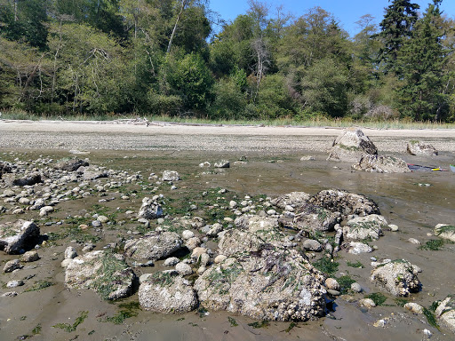 Tourist Attraction «Tillicum Village», reviews and photos, Blake Island, Port Orchard, WA 98366, USA