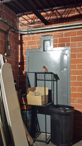 Discount Store «Dollar General», reviews and photos, 1813 Center St, Deer Park, TX 77536, USA