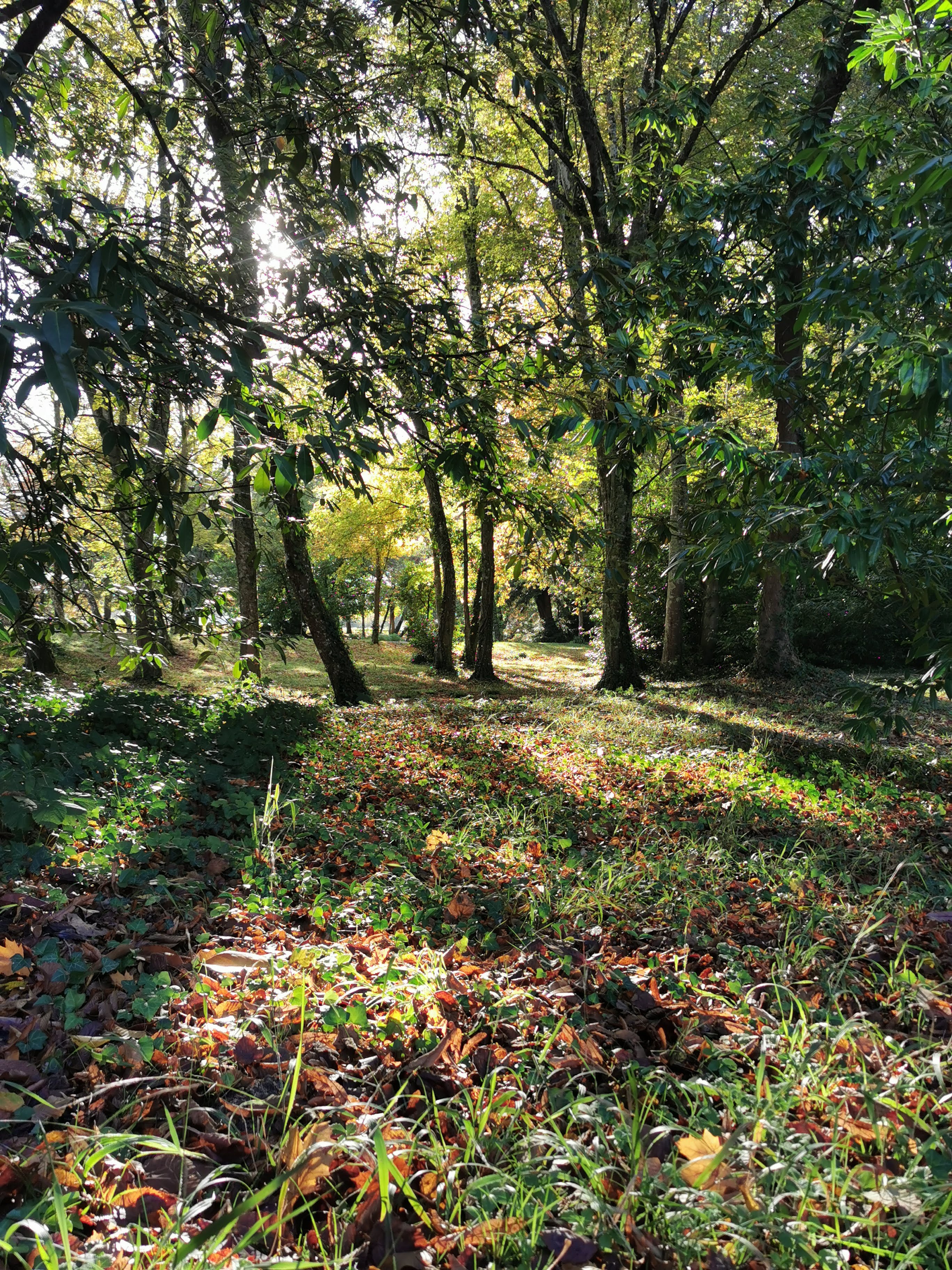 Photo n° 34 de l'avis de Alexandre.l fait le 27/10/2021 à 18:59