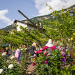 Photo n°2 de l'avis de Carl-Johannes.o fait le 23/06/2023 à 20:38 sur le  Gartenheim à Tramin an der Weinstraße