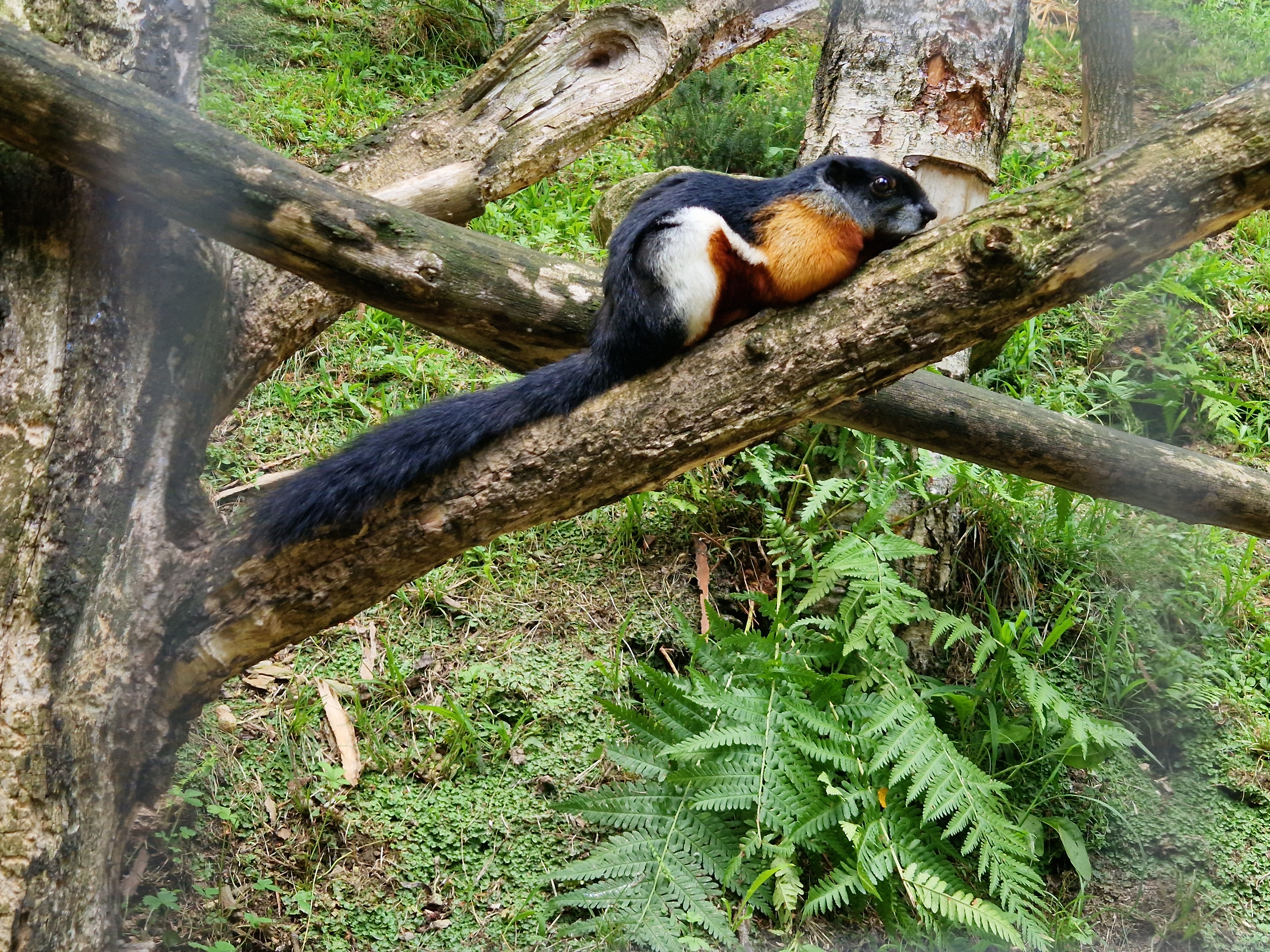 Photo n° 8 de l'avis de Aline.u fait le 27/08/2023 à 11:28