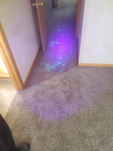 Carpet Cleaning Service «TLC Carpet and Upholstery Cleaning», reviews and photos, 6380 W 10th St #7, Greeley, CO 80634, USA