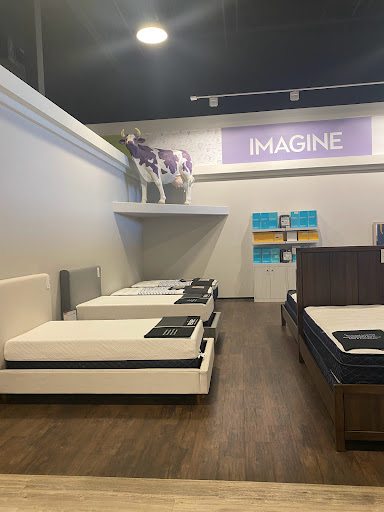 Furniture Store «Living Spaces - Glendale, AZ», reviews and photos, 6767 W Bell Rd, Glendale, AZ 85308, USA