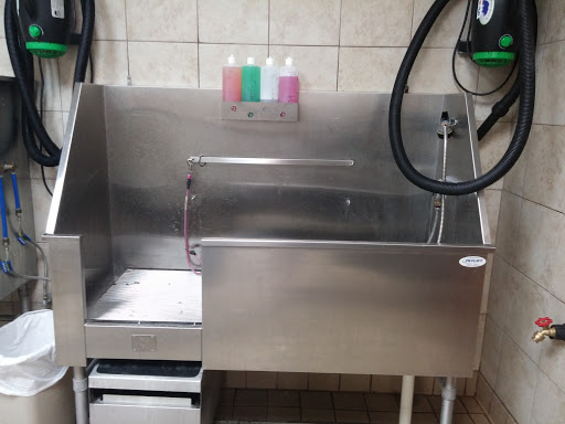 Pet Supply Store «Pet Supplies Plus», reviews and photos, 4100 Legacy Dr Suite 402, Plano, TX 75024, USA