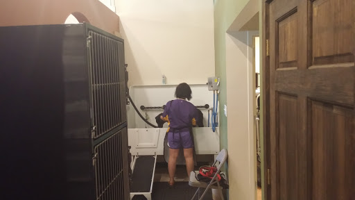 Pet Supply Store «EarthWise Pet Supply - Flower Mound», reviews and photos, 2311 Cross Timbers Rd #307, Flower Mound, TX 75028, USA