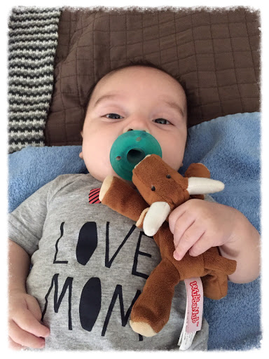 Baby Store «Bellies Babies & Bosoms», reviews and photos, 2430 Honolulu Ave, Montrose, CA 91020, USA