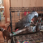 Photo n°8 de l'avis de Serena.i fait le 03/09/2023 à 21:13 sur le  Hotel Chalet Val di Rabbi à Rabbi