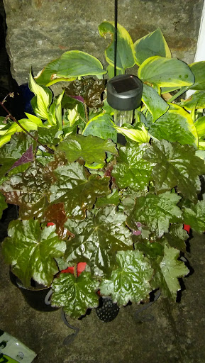 Thrift Store «Collins Ave Thrift Store», reviews and photos, 4020 Frederick Ave, Baltimore, MD 21229, USA