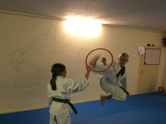 Kaizen Ryu Schnottwil