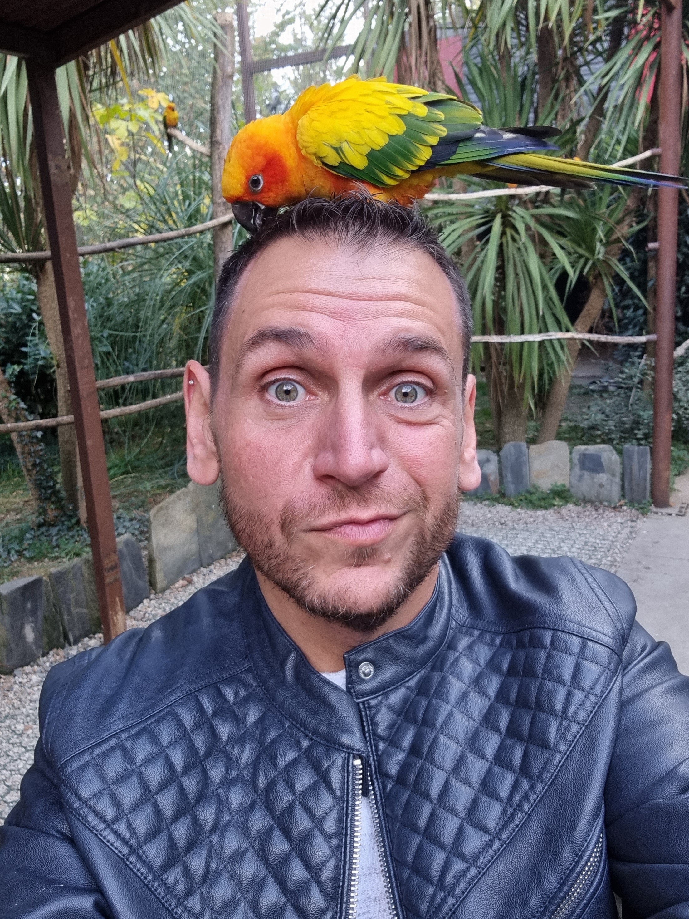 Photo n° 2 de l'avis de mathlcms. fait le 04/11/2021 à 09:55